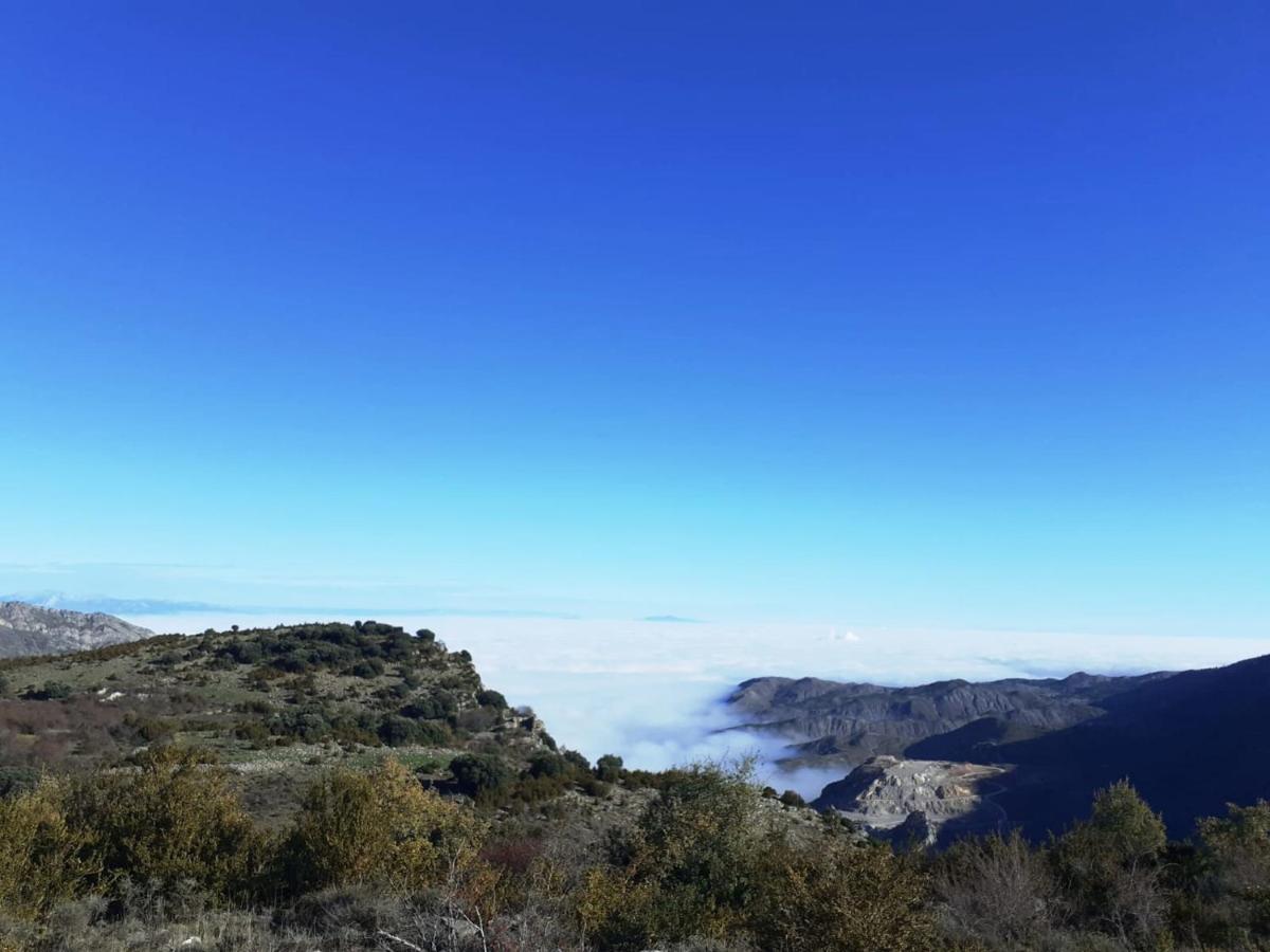 Casasdetrevijano Canon Del Rio Leza Soto en Cameros Екстериор снимка